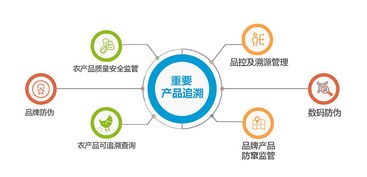 二維碼防偽溯源系統(tǒng) 增加消費(fèi)者防偽意識(shí)