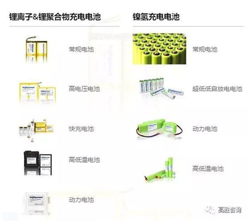 項目入駐 高勝咨詢進(jìn)駐美國上市公司豪鵬科技,共謀發(fā)展,譜寫輝煌新篇章