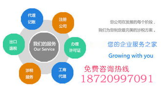 會(huì)計(jì) 會(huì)計(jì)的分類(lèi)