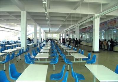 河源食堂托管服務 價格合理、管理可靠的解決方案與企業咨詢服務新動態